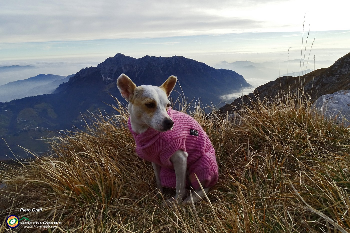 62 Stelina col cappottino sullo sfondo d'Alben.JPG -                                